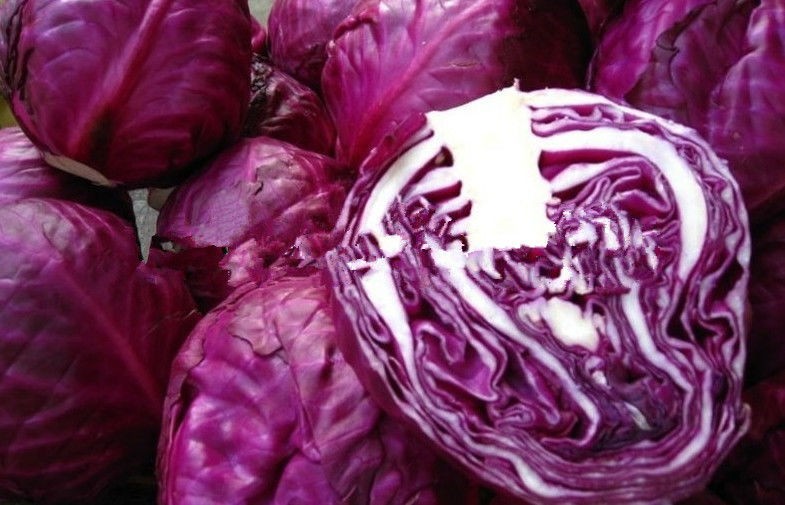 Natural No Infect Chinese Napa Cabbage Contains Potassium , Manganese For Stronger Bone