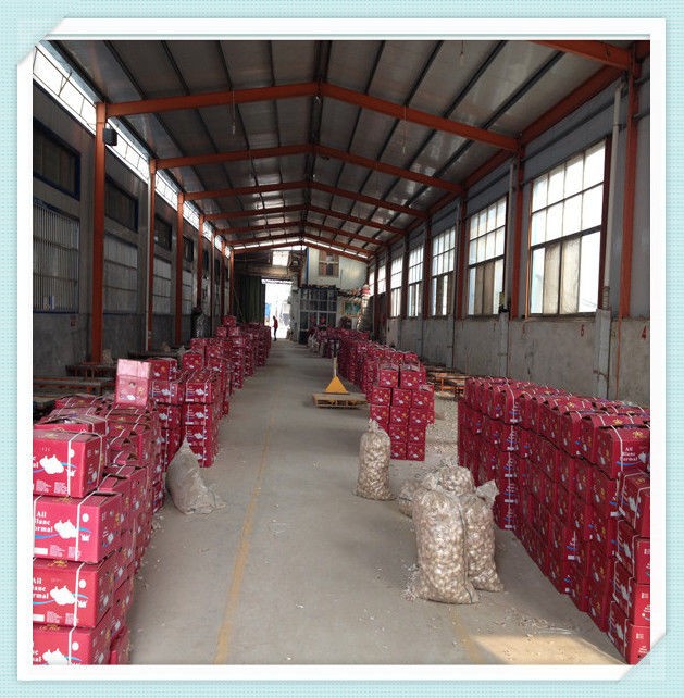 Chinese garlic exporter 2015 new crop fresh garlic from china with good quality