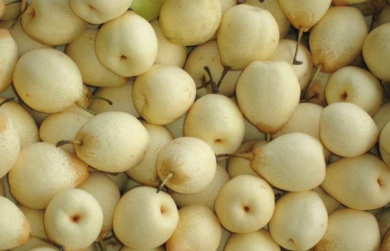 Crisp Yellow Ya Fresh Pears / Pome Fruit Natural For Fruit Shop