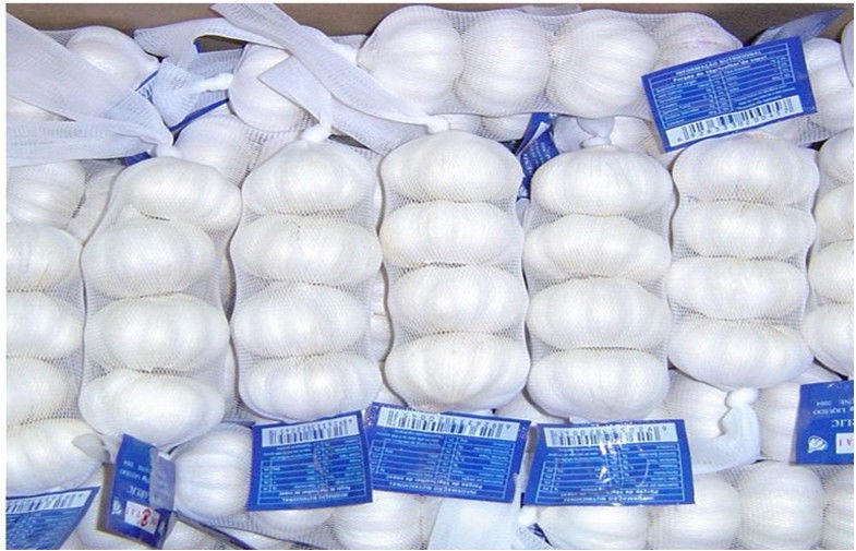 Pure White Organic Fresh Garlic Fresh For Cooking , Medicinal 4.5cm - 6.5cm, Strong bactericidal