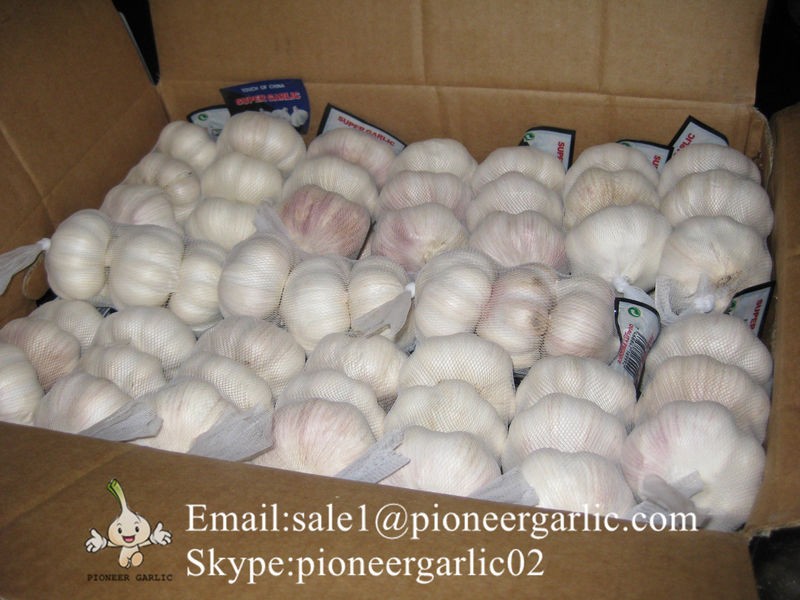New Crop Chinese 4.5cm Pure White Fresh Garlic 3p small packing in mesh bag