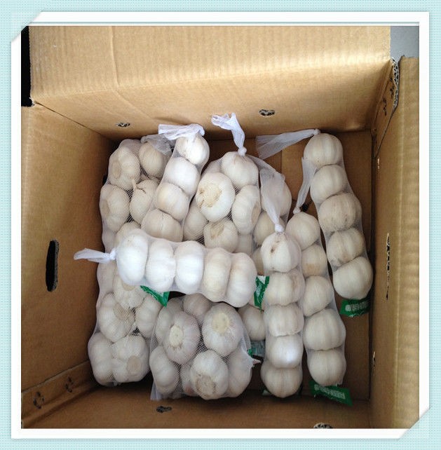2015 New Shandong Garlic Fresh White normal white Garlic
