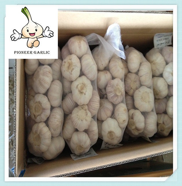 Chinese fresh white garlic 5.0cm 10kg/mesh bag or carton