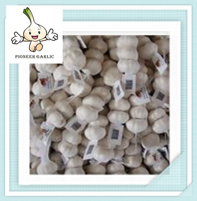 New model high quality 2016 new crop pure white fresh garlic from China