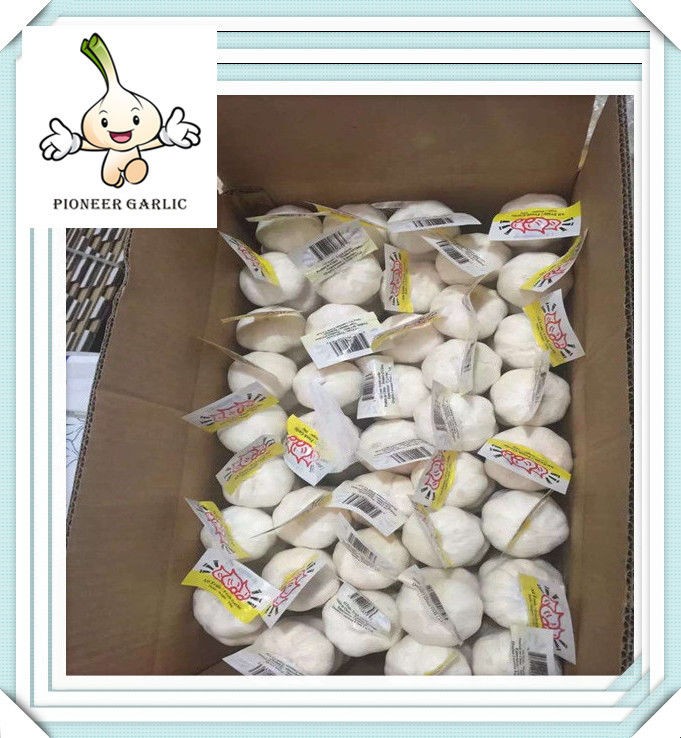 China Super White Garlic - Large Quantity 2015 Fresh White Garlic in Stock