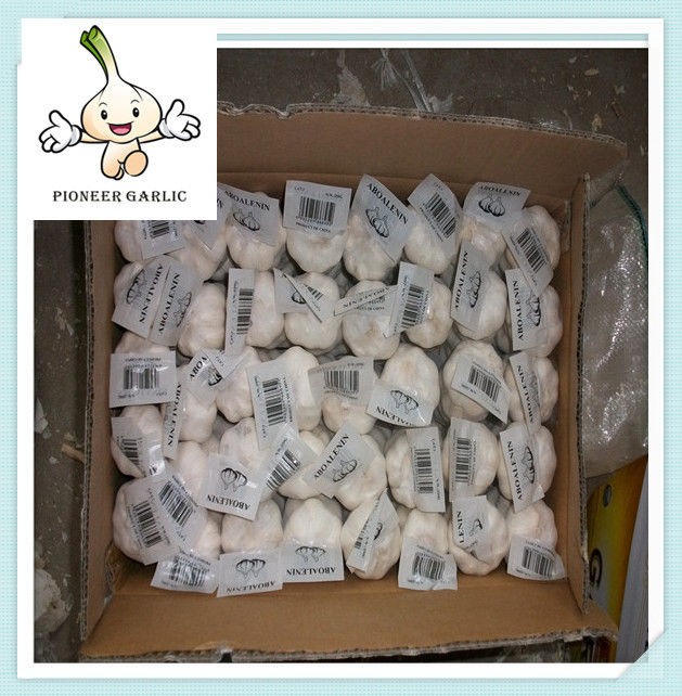 Garlic Factory Sell Best Quality Chinese White Garlic for brasil