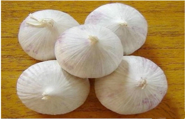 4.0 - 6.5CM White Organic Fresh Garlic For Preventing Diabetes Mellitus