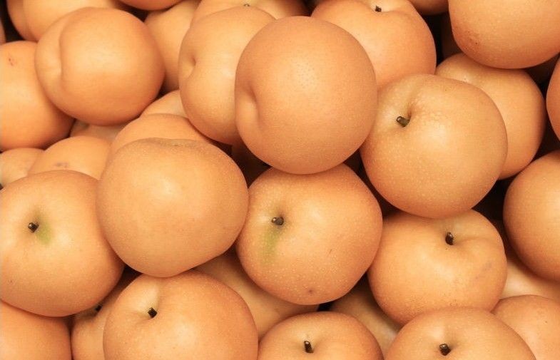 Beneficios frescos para la salud de la pera Huangguan/pera corona con valor nutricional