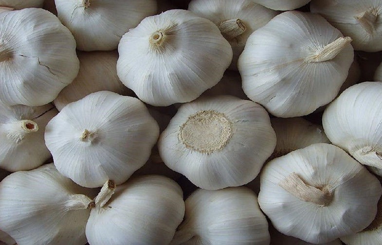 5 - 7cm Cloves Bulb Organic Fresh Garlic Contains B5 , Vitamin B6 , No Black Mould