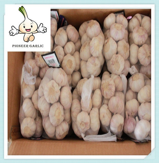 The Cheap white chinese garlic of 20kg/mesh bag 5.0-5.5 normal wihte garlic