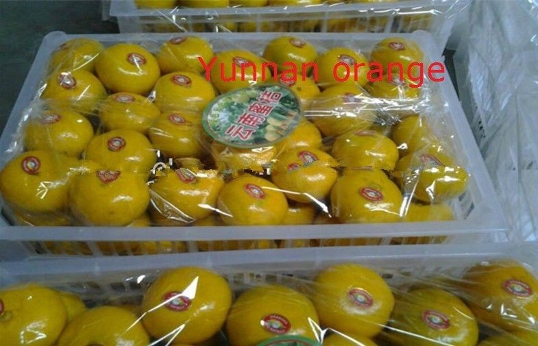 Yunnan Nutritional Value Fresh Mandarin Oranges Vitamins B3 , E To Enhance Digestion, The average thickness of 1.1mm