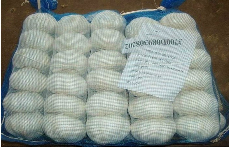 golden supplier china wholesale garlic with low price