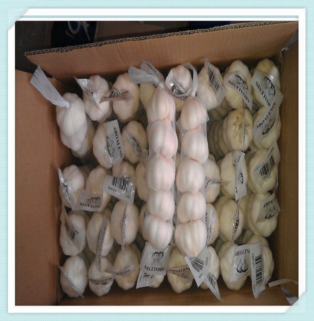 2015 new fresh white garlic export Wholesale China garlic,natural fresh garlic