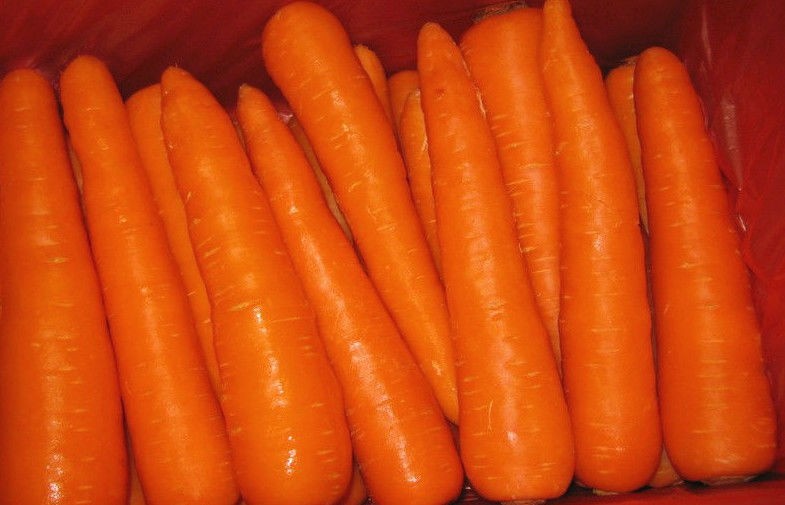 Deliciosa zanahoria orgánica rica en caroteno que contiene caroteno-α anticancerígeno