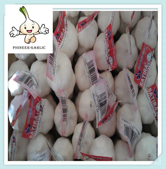Chinese Fresh Garlic Small Pakage 3p/4p/5p Garlics Per Net Bag
