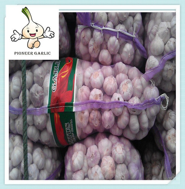 Hot Sale Fresh White Garlic new crop of the garlic in Jinxiang