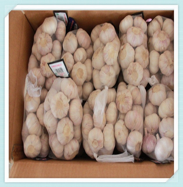 Best quality new crop fresh Chinese pure white garlic