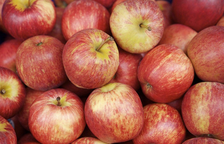 Smooth Tastey Organic Fuji Apple Containing Calcium , Vitamin With No Pollution