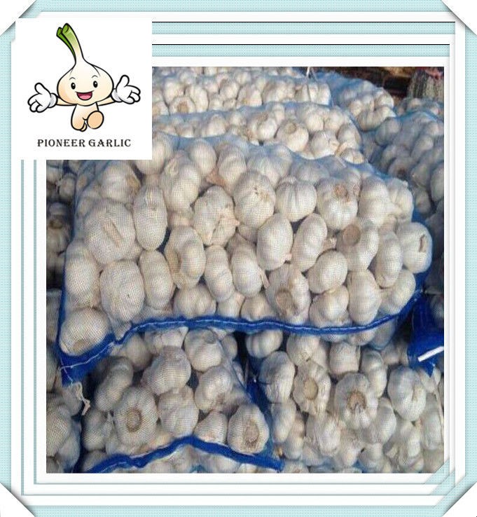 Supply good farmer garlic low price best quality 4.5CM Chinese Fresh Red Garlic