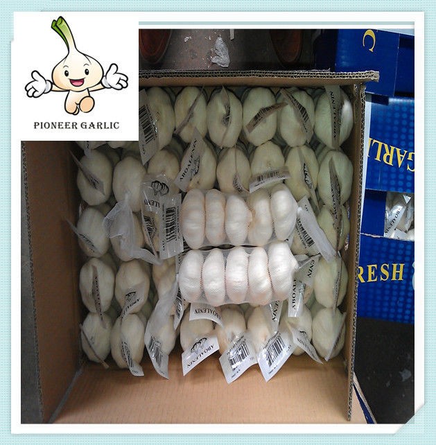 pure white garlic from China, 9ps in mesh bag, good quality, cheap price