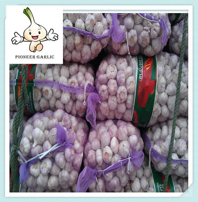 High Quality Fresh Garlic Price Russian Garlic fresh garlic for sale
