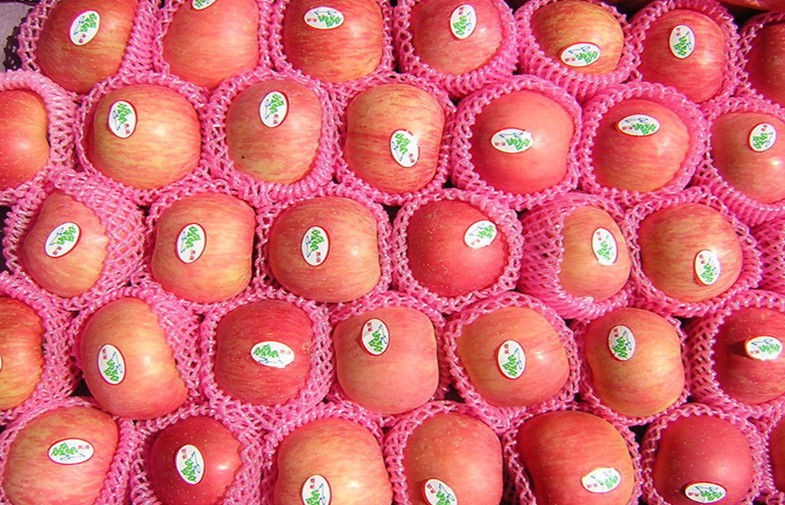 Yantai Organic Fuji Apple With Bright Red Color , Fresh Pome Fruit 0.15 Kg