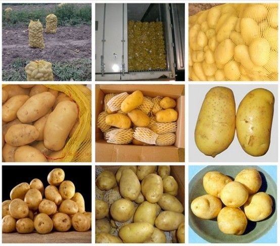 Cold Storage Yellow Organic Potatoes Nature For Vegatable Shop
