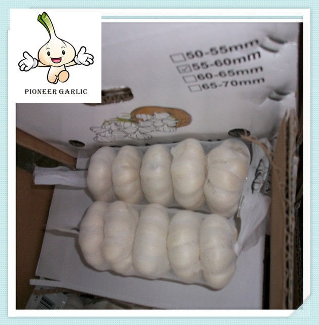 normal white garlic,from Jinxiang okeya,with cheap price 5.0CM&UP