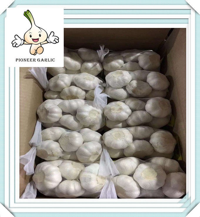 chinese fresh normal white Garlic 5kg 10kg 20kg carton mesh bag