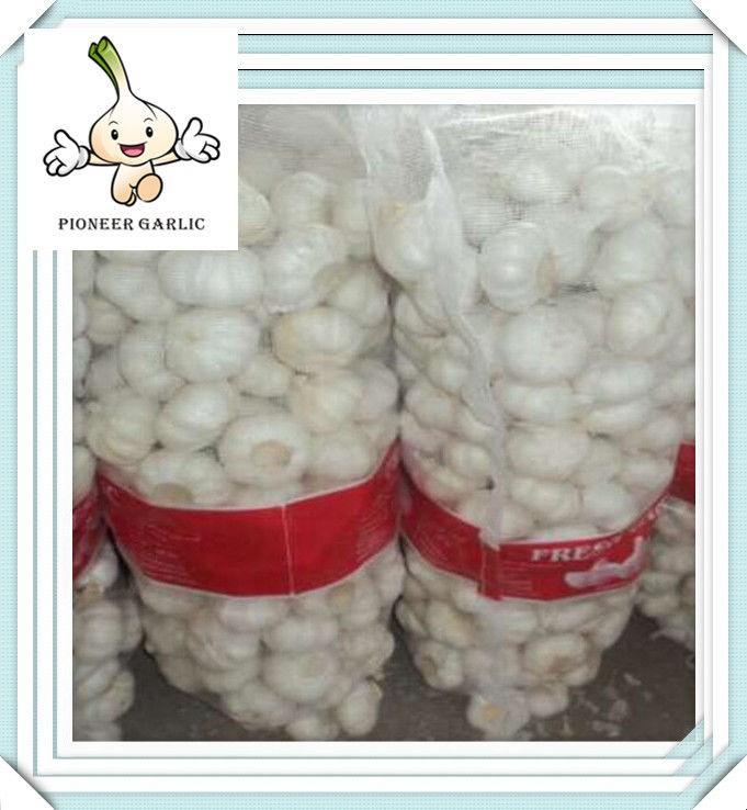 5.0-5.5 cm Fresh Normal White Garlic Packed In 10Kg Loose Carton