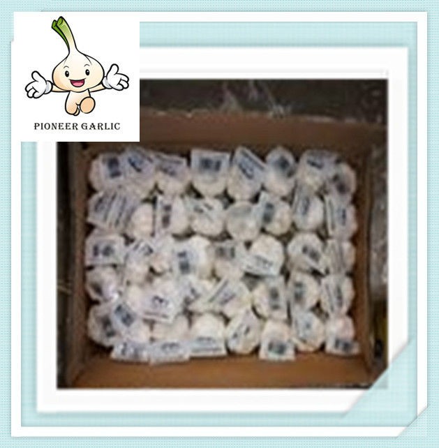 China Pure White Garlic, Normal White Garlic Price Chinese 2015 new crop