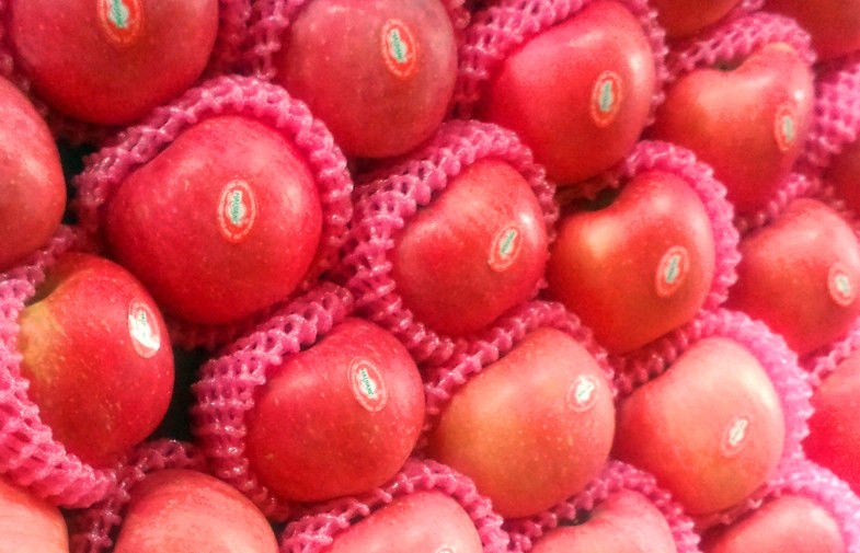 Fresh Sweet Smell Juicy Organic Fuji Apple Thin Skin With Protein , Water