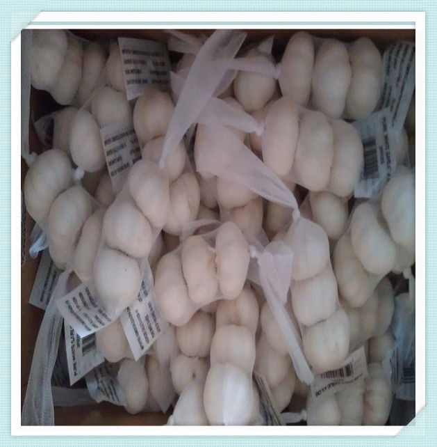 2015 New Crop Jinxiang White Garlic fresh Chinese garlic