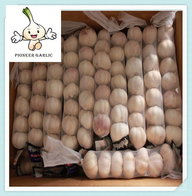 2016 New Crop Fresh Garlic Snow White Garlic 5.0CM Up (500g/Mesh Bag)