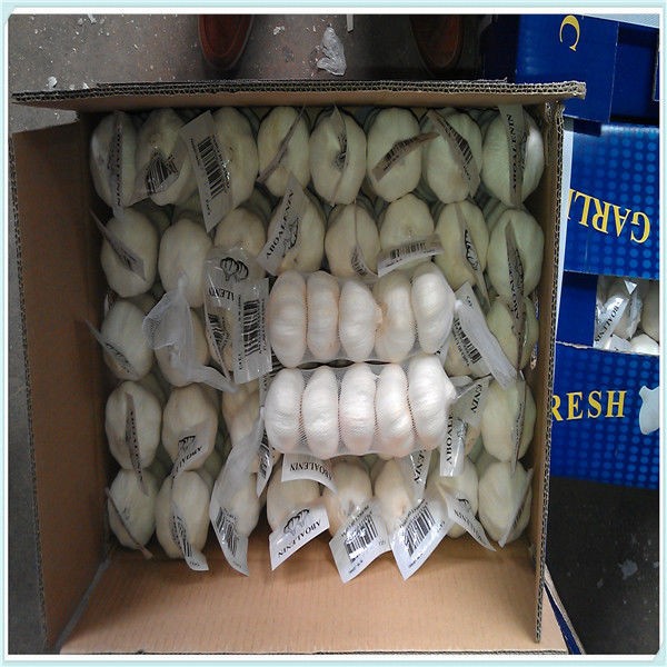 High quality Chinese Fresh Pure White Pre-Packed Garlic