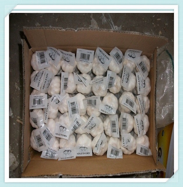 China pure white fresh garlic in mesh bag Best quality new crop Chinese