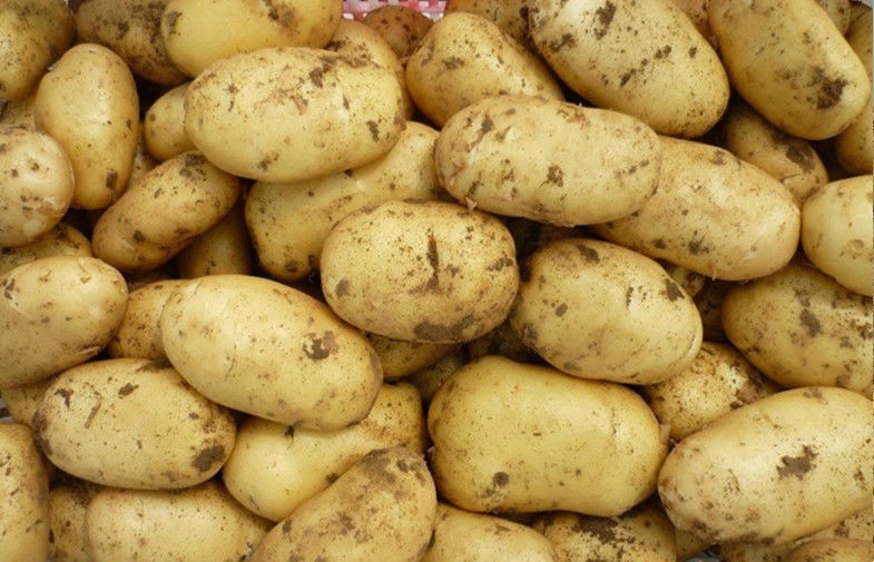 Minerals India Organic Potato Heath Benifits For Vegetable Market