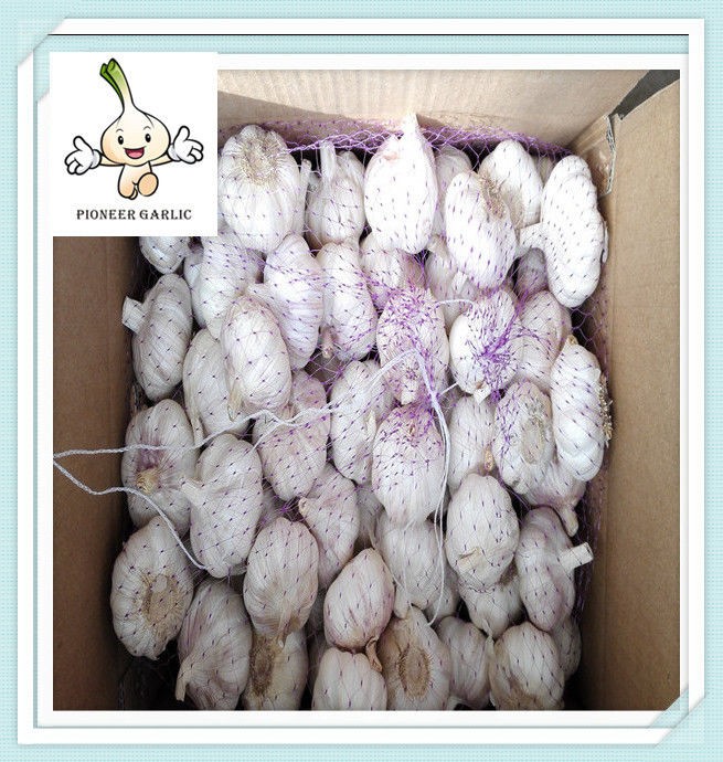2015 new crop natural garlic purple garlic normal white garlic