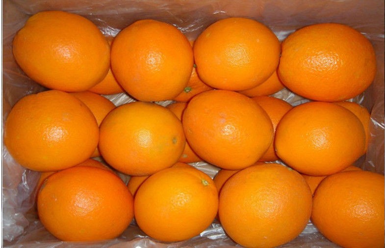 fruta fresca cítricos crudos junos naranja navel fresca contiene azúcares, fibra dietética, peso individual promedio de la fruta 300 ~ 350 g