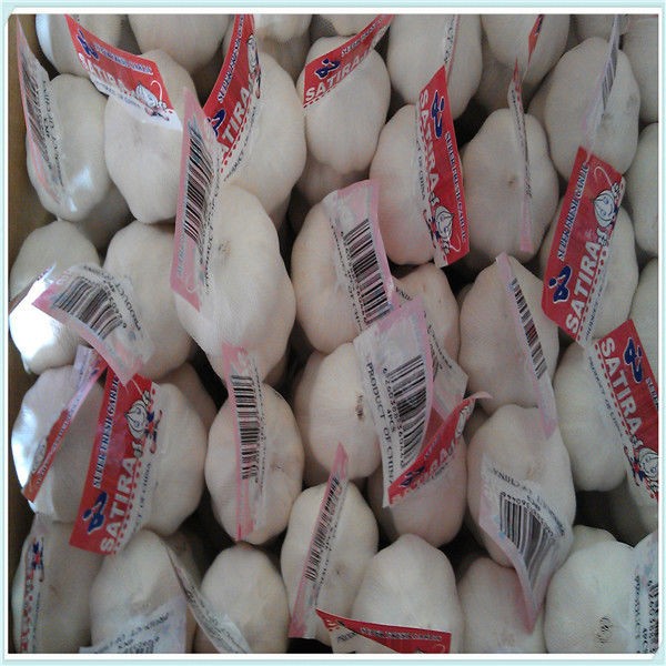 Fresh White Garlic For Export 5.0cm,5.5cm,6.0cm white garlic