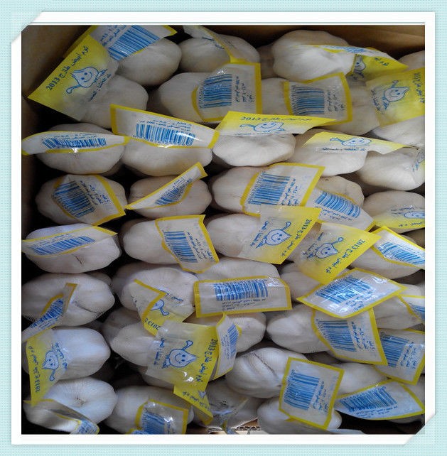chinese new crop garlic 2015 New Fresh Shandong Garlic