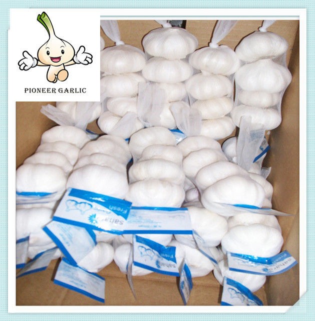 Pure White Export Garlic - 1kg/Mesh Bag China Cold Store Garlic Fresh White Garlic In 500g
