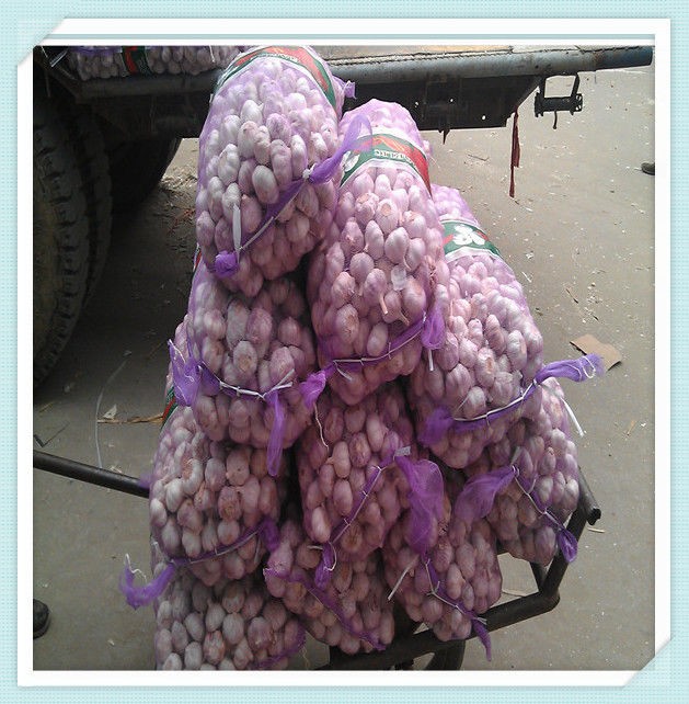2015 Fresh Garlic - new arrival, hot sales for chile market