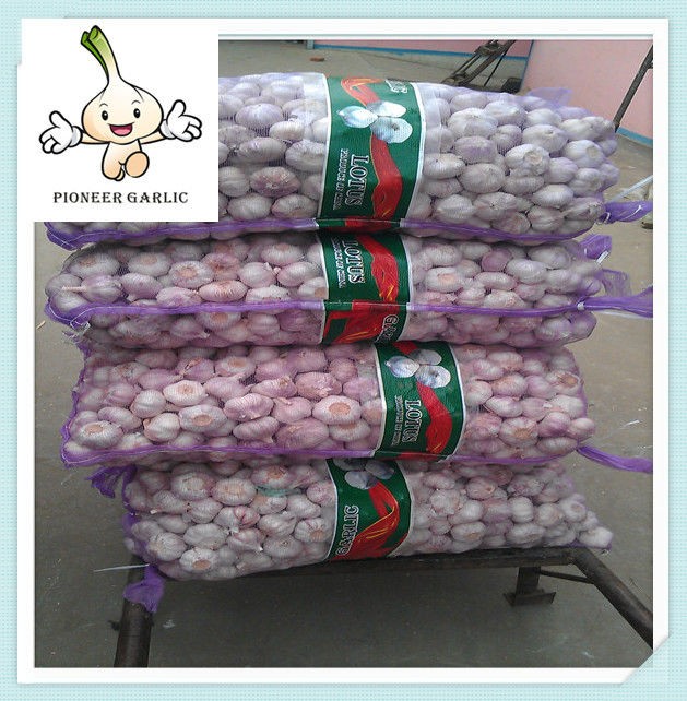 Agricultural products new pure white fresh garlic for exporting sale