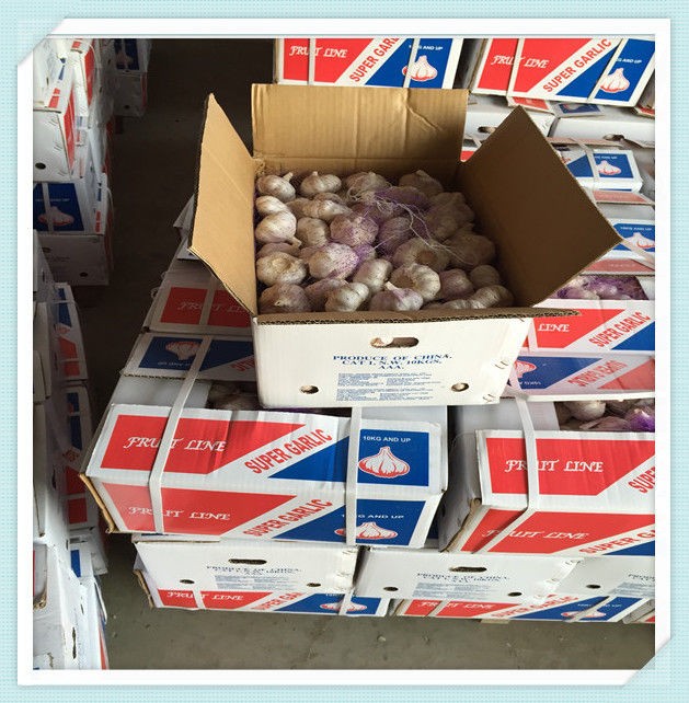 2015 China New Crop Normal White Garlic Normal White Garlic 300g x 25bag