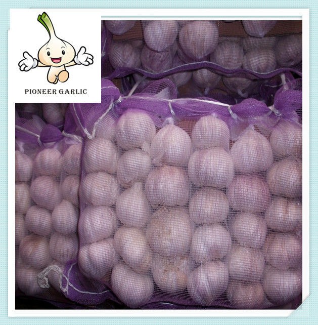 Fresh normal White garlic 10kg packing China natural garlic price