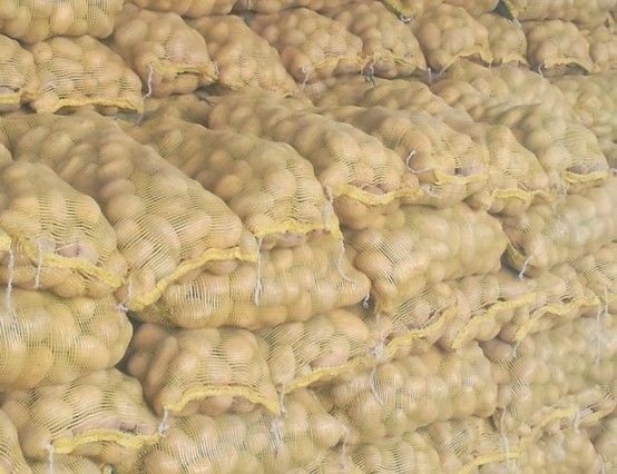 Fresh No Fleck Organic Potatoes / Spud For Vegetable Shop , Market