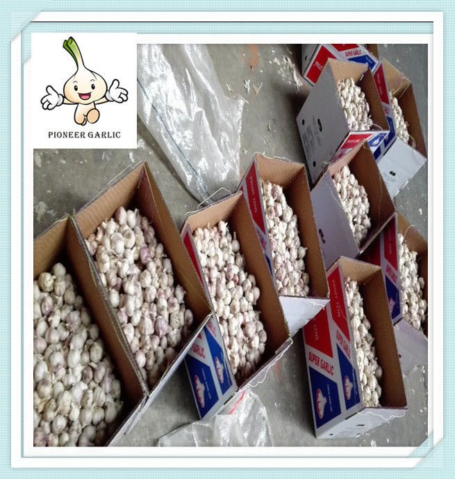 2015 New Normal White Garlic new China product fresh normal white garlic