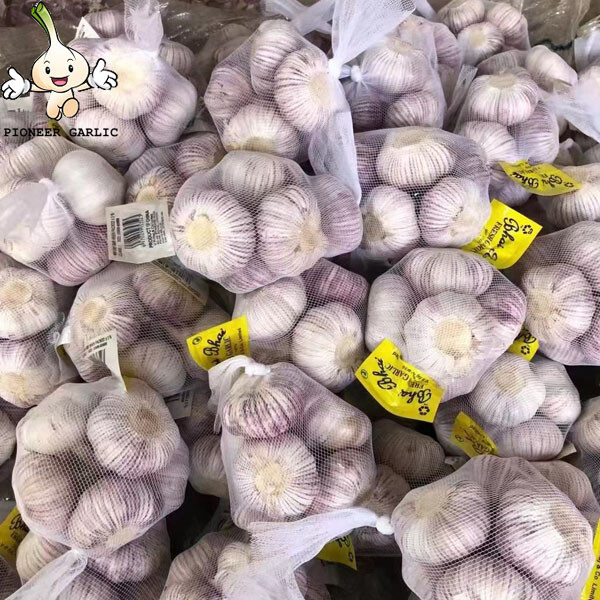 Ajo chino natural de nueva cosecha con el precio más bajo