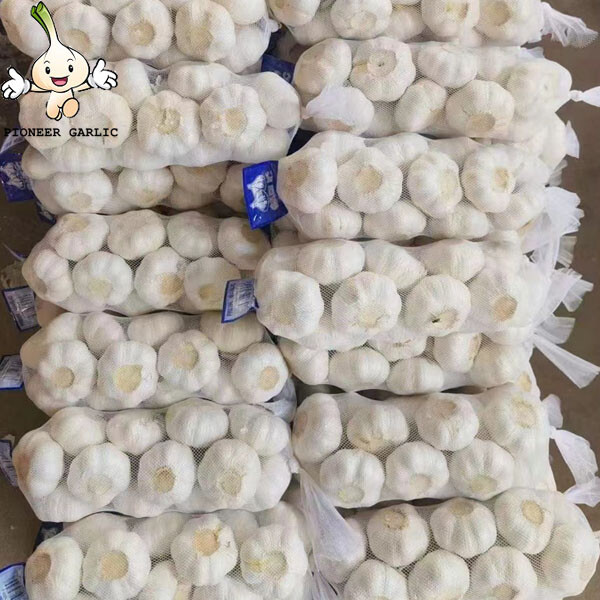Precio de embalaje a granel de ajo blanco natural chino fresco
